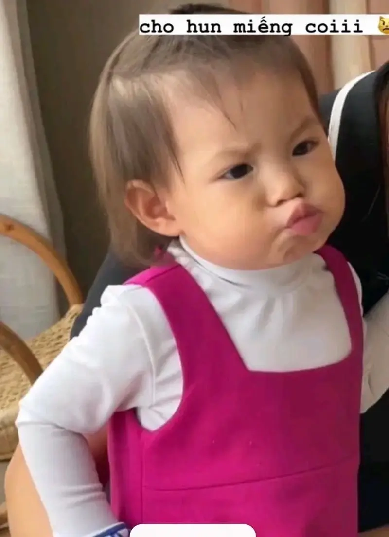 Bộ sưu tập meme 