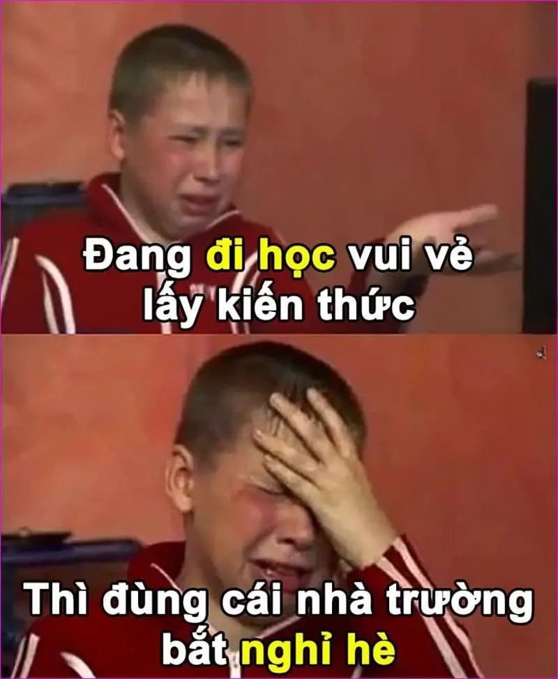 Meme nghỉ hè được dân giảng viên chia sẻ rộng rãi trên mạng xã hội