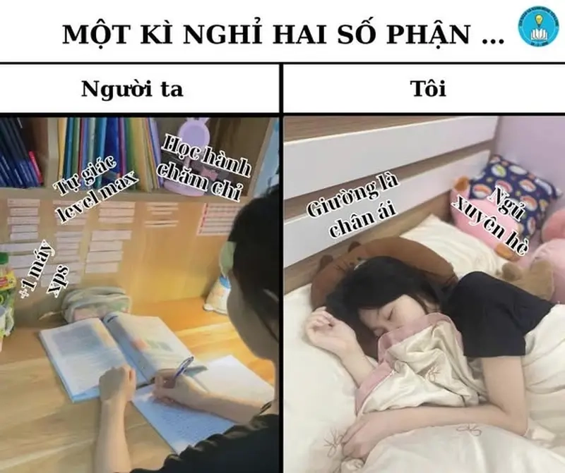 Meme nghỉ hè giúp cộng đồng giáo viên thư giãn sau mùa dạy học