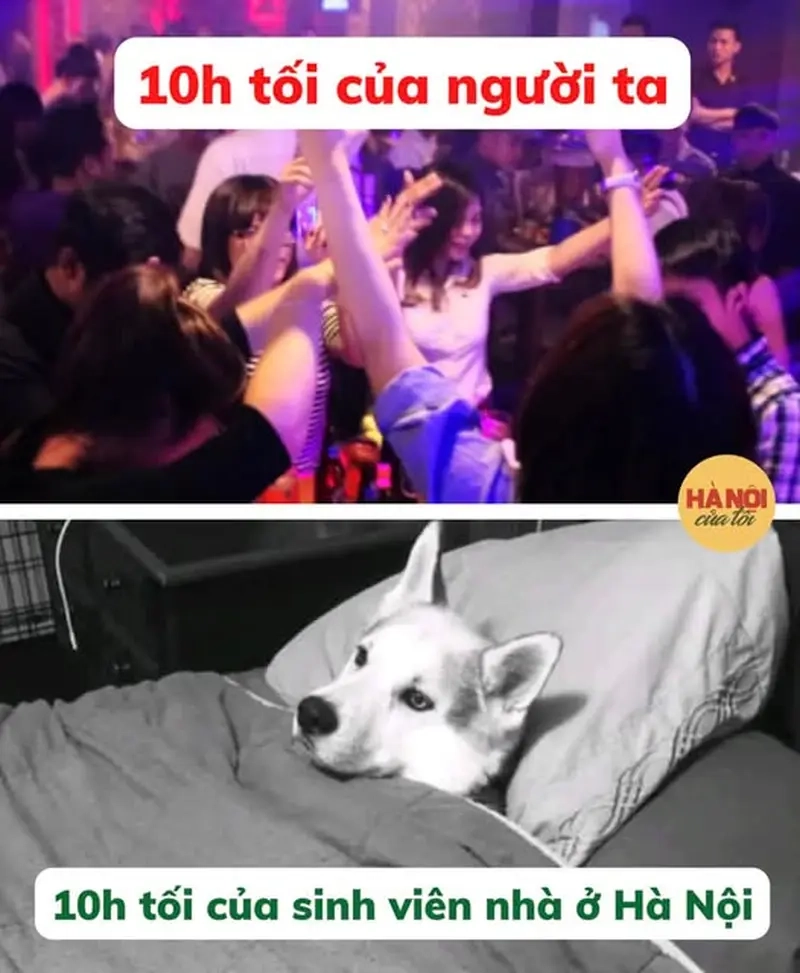 Những thói quen độc đáo trong meme người Hà Nội