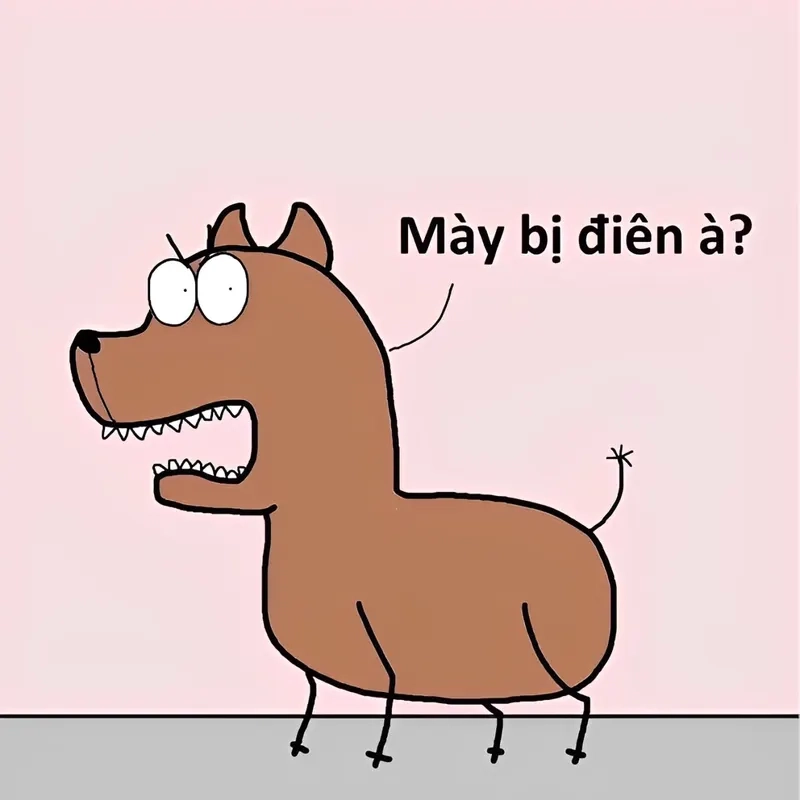Không thể bỏ lỡ ảnh meme cười ỉa hot nhất hôm nay!