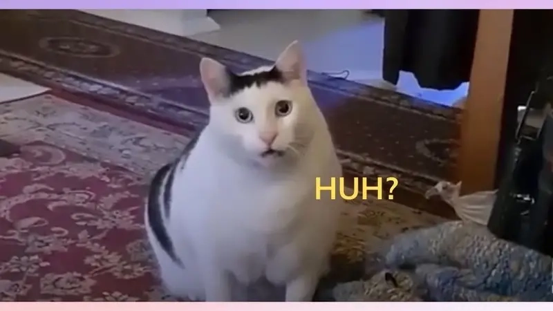 Meme hoang mang thể hiện rõ nét cảm xúc khó hiểu nhất