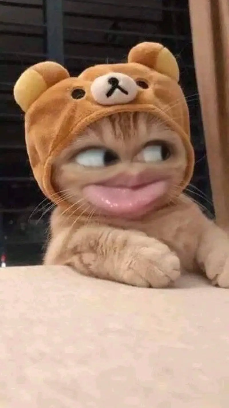 Cảm xúc thật thà không giấu được với meme khinh bỉ ra mặt.