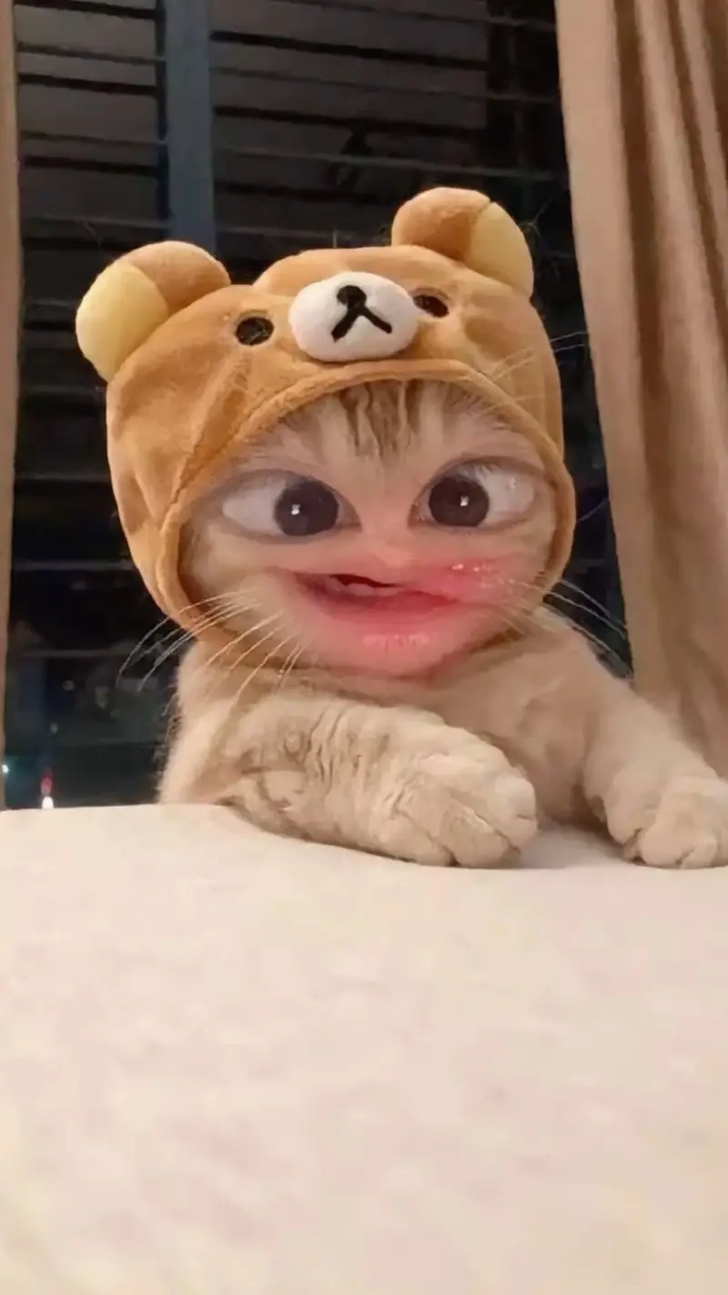 Chỉ cần meme nhìn bằng nửa con mắt là đủ hiểu ý tứ!