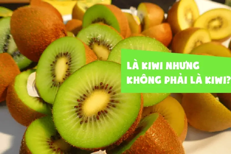 Tận hưởng khoảnh khắc hài hước với kiwi kiwi tiktok