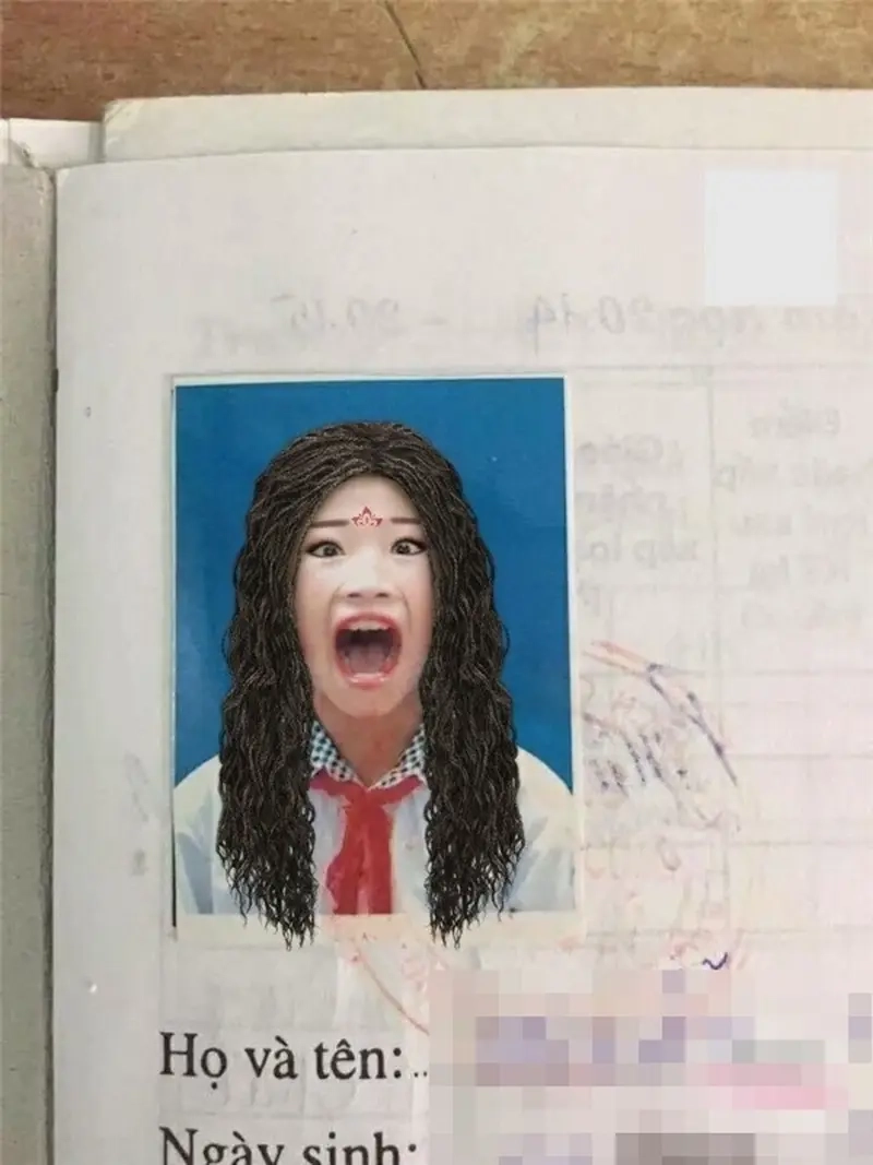 Trào lưu meme ảnh thẻ thu hút giới trẻ Việt Nam