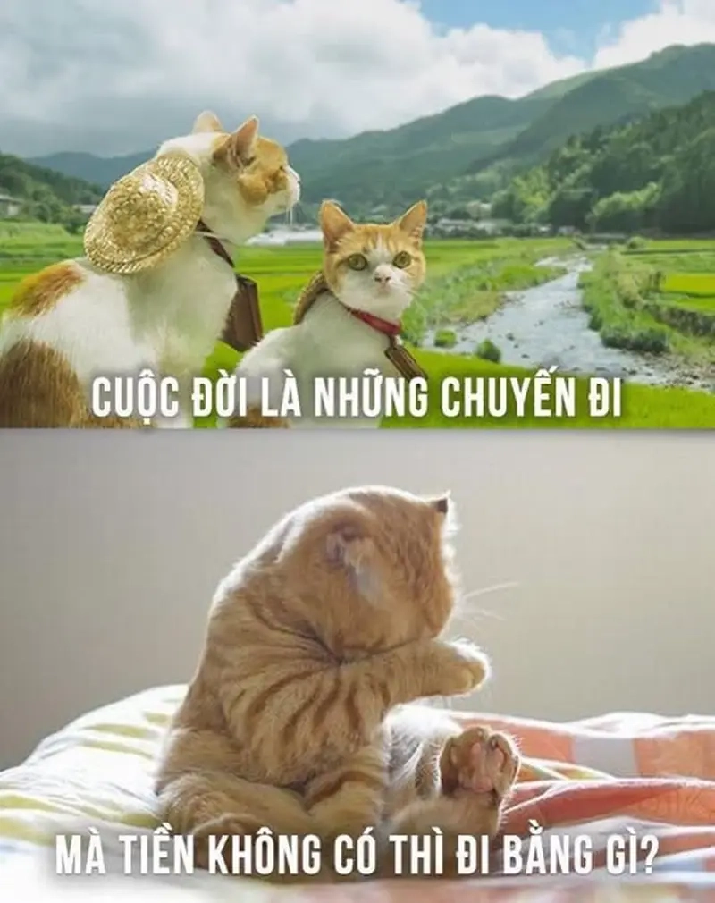 Trào lưu meme ảnh du lịch gây sốt trên mạng xã hội