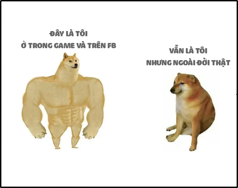 Meme trên mạng và ngoài đời khác nhau đến hài hước