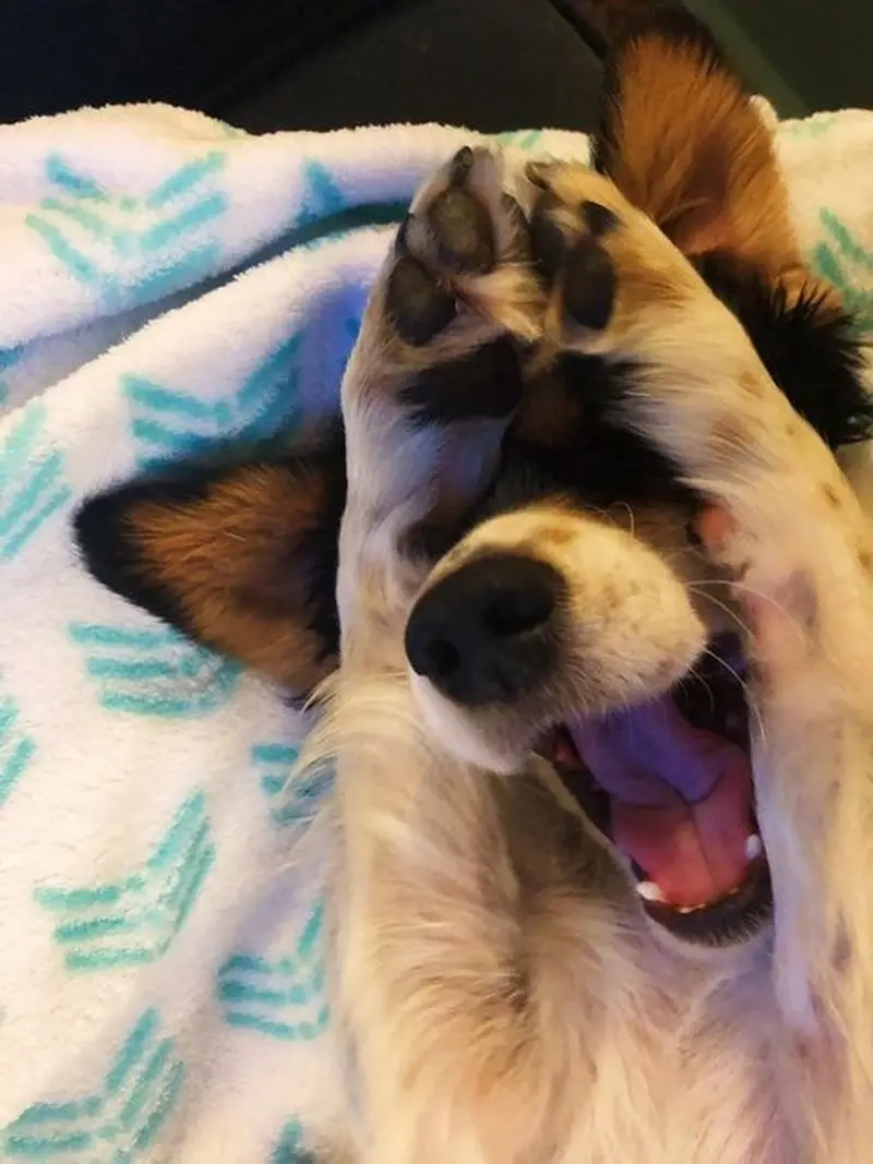 Xem loạt meme mắc cỡ thu hút triệu lượt xem