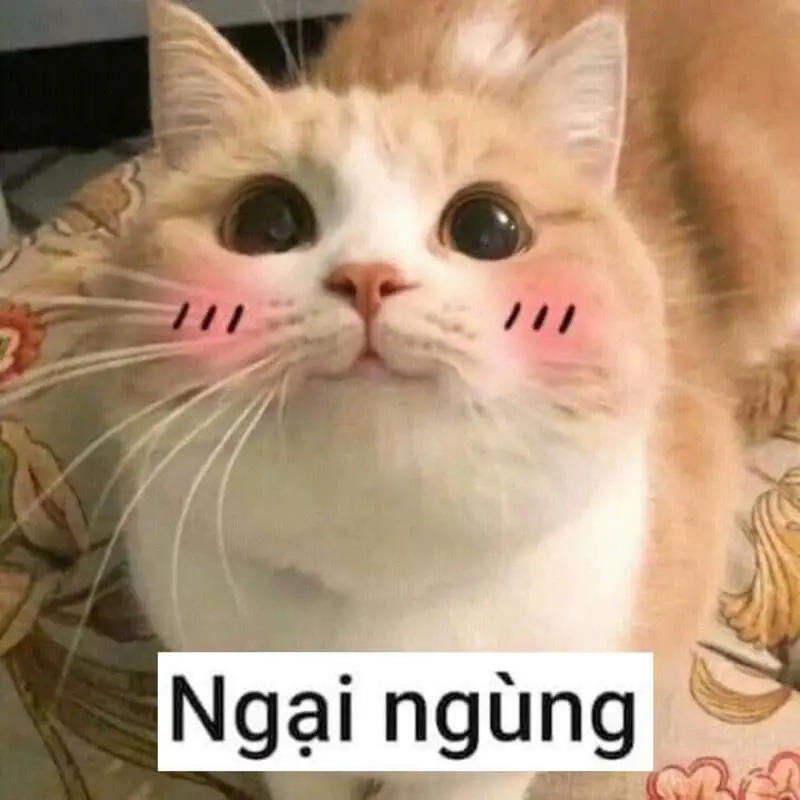 Tạo meme ngại ngùng để bày tỏ cảm xúc hài hước