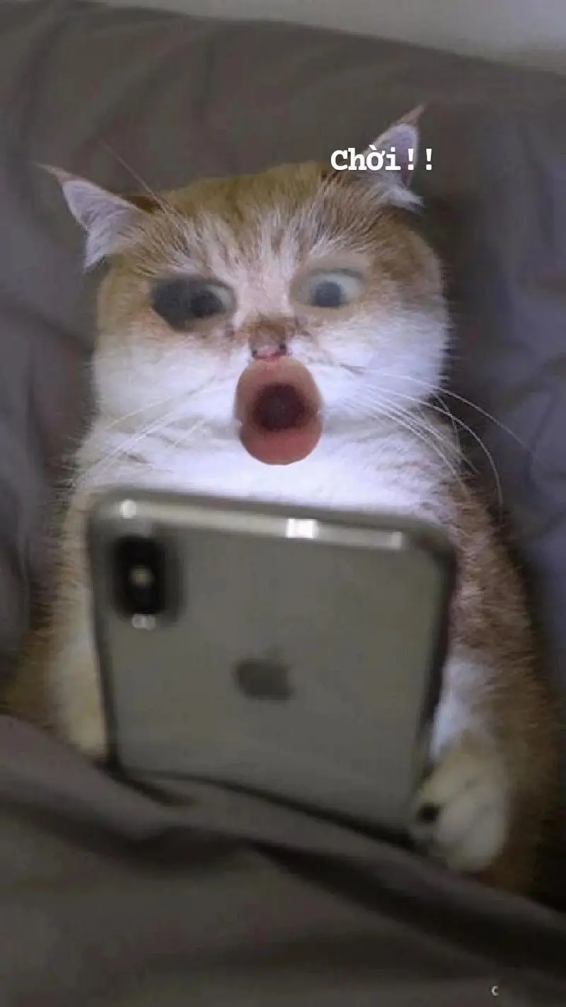 Meme ngạc nhiên đỉnh cao với biểu cảm meme sốc cực chất!