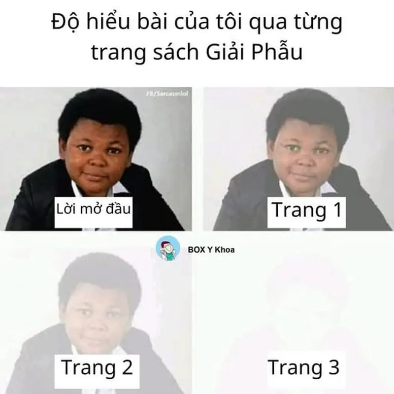 Meme học giải phẫu giúp sinh viên y khoa thêm phần thú vị trong học tập