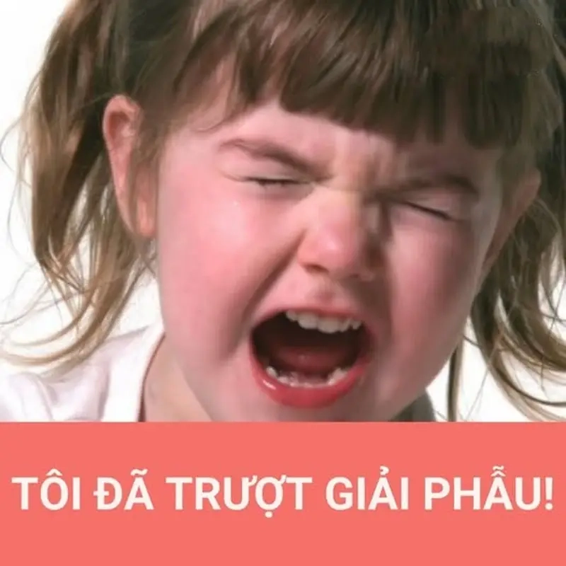Khám phá meme học giải phẫu thu hút cộng đồng Meme Ngành Y / Bác sĩ / Dược sĩ