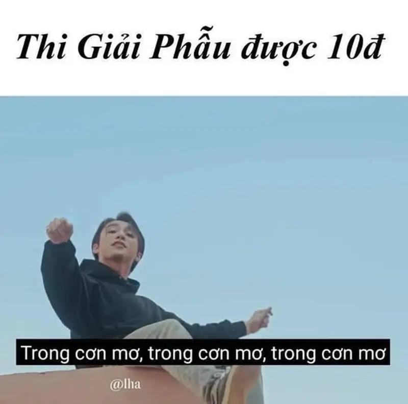 Dân y dược thích thú với meme học giải phẫu hài hước và gần gũi