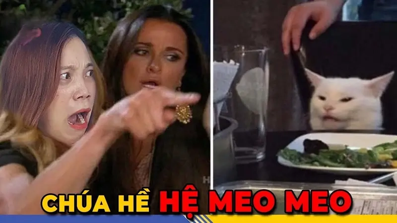 Cười sảng khoái cùng meme woman yelling at a cat trong meme nhân vật quốc tế
