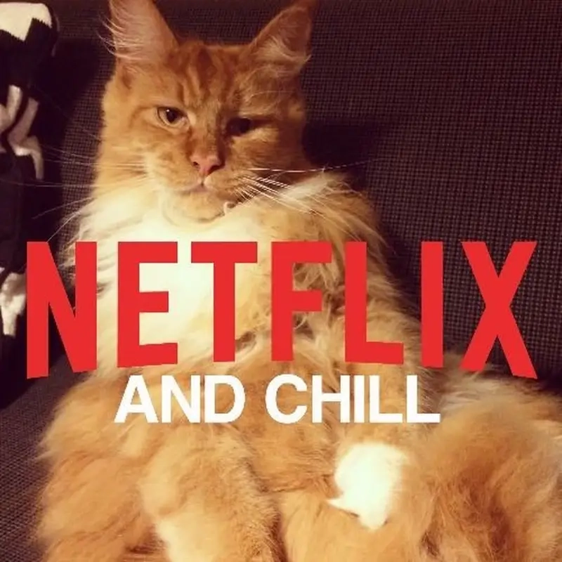 Meme Netflix and chill chế vui giúp fan thư giãn sau ngày dài