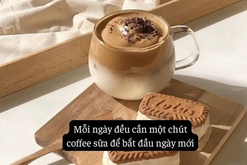 Tình yêu cà phê qua meme cà phê sữa đá hài hước