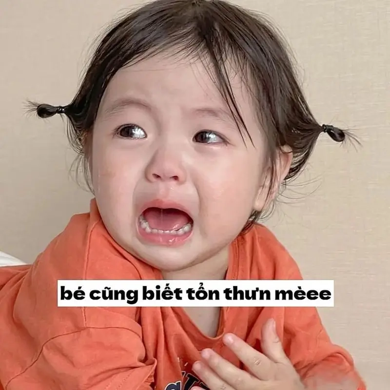 Tổng hợp meme template chung hot nhất mạng xã hội