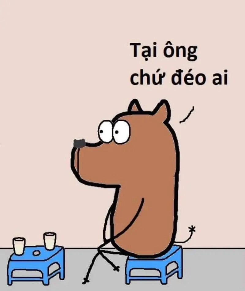 Meme theo cộng đồng, group thu hút với những meme Không Sợ Chó mới nhất