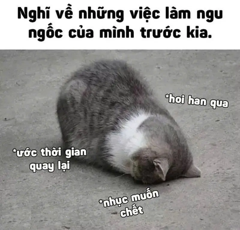 Tạo meme về thời gian đơn giản nhưng đầy ý nghĩa và thu hút