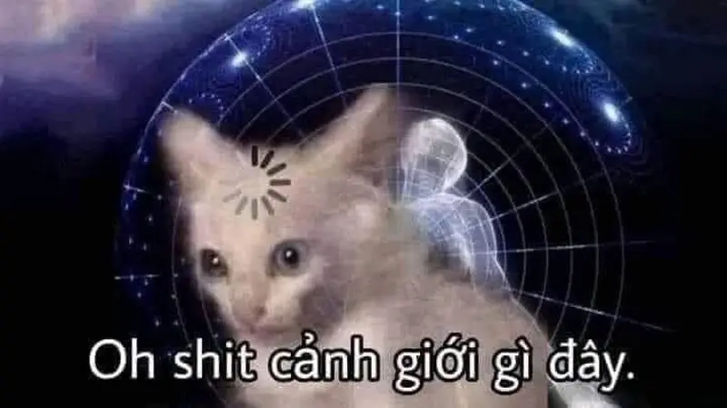 Meme về vũ trụ hài hước pha lẫn sự huyền bí và triết lý sâu sắc