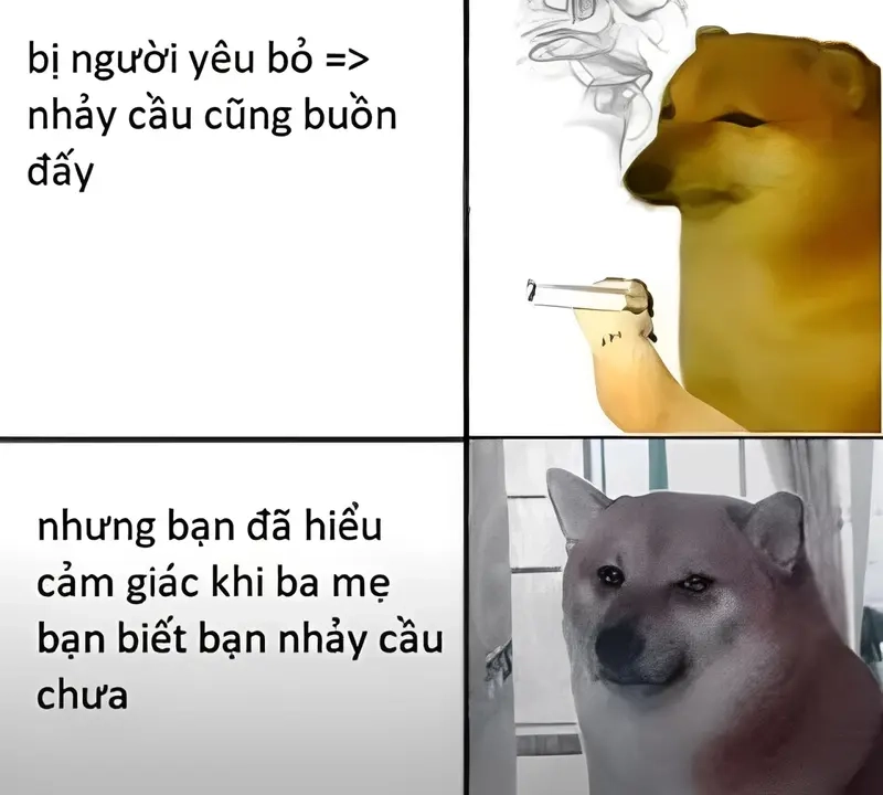 Khám phá meme về ý nghĩa cuộc sống siêu ý nghĩa và hài hước