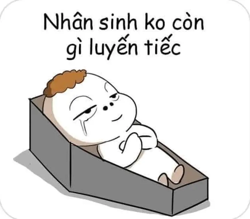 Khám phá meme về nhân sinh quan hài hước và đầy triết lý