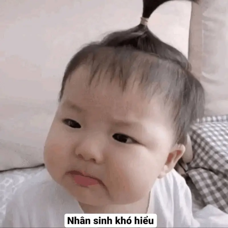 Meme về nhân sinh quan mang lại góc nhìn mới mẻ và sâu sắc