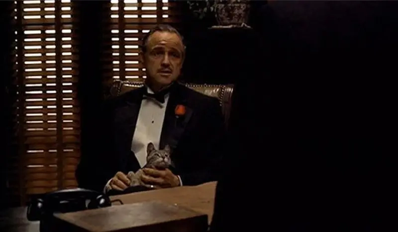 Meme Bố Già (The Godfather) là lựa chọn hoàn hảo cho dân mê phim kinh điển