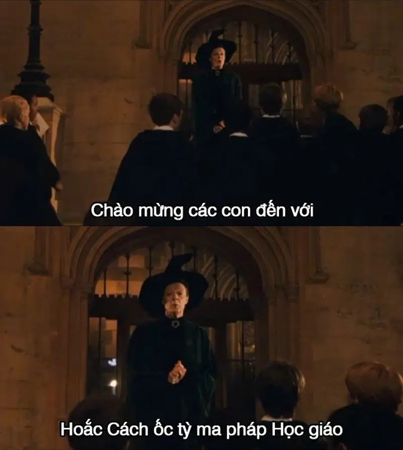 Xem meme Harry Potter (các nhà) để thêm yêu bộ truyện kinh điển