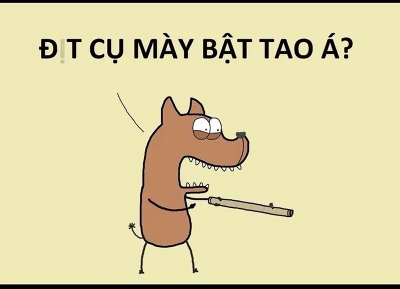 Cảm xúc nổ tung với meme tức giận meme cục súc cực gắt!