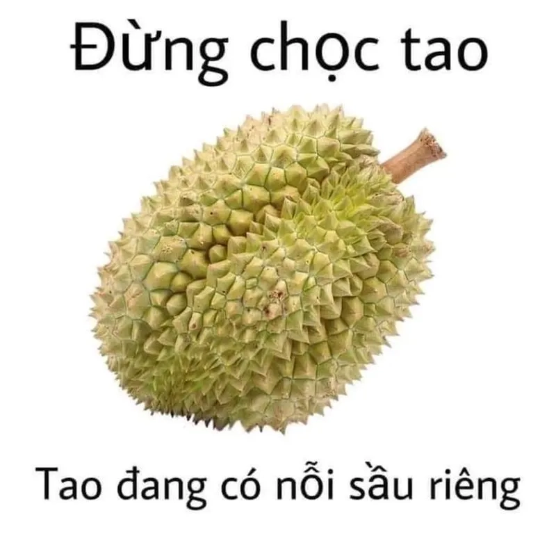 Meme tức điên dành cho những ngày “cạn lời với thế giới”