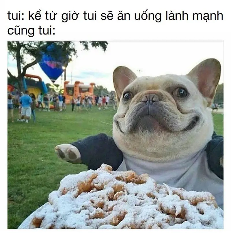 Thưởng thức meme mukbang giúp bạn giải trí sau ngày dài