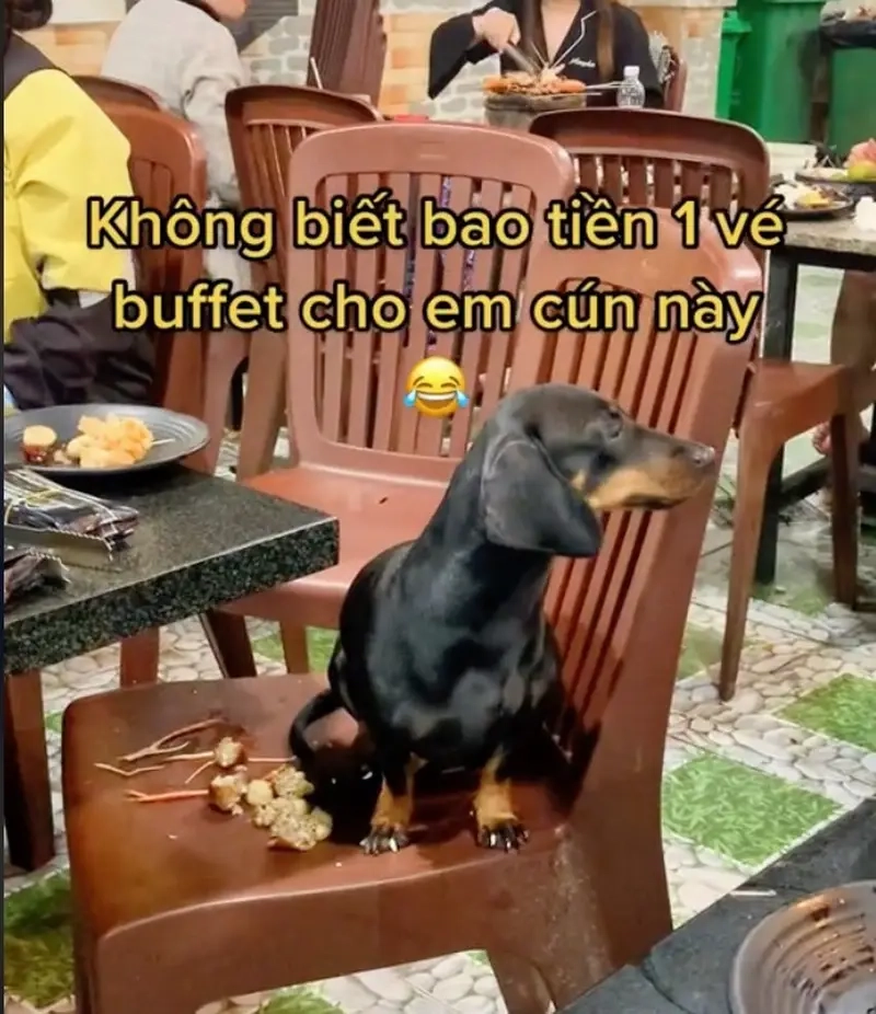 Cười sảng khoái với meme đi ăn buffet và những pha “chén sạch”