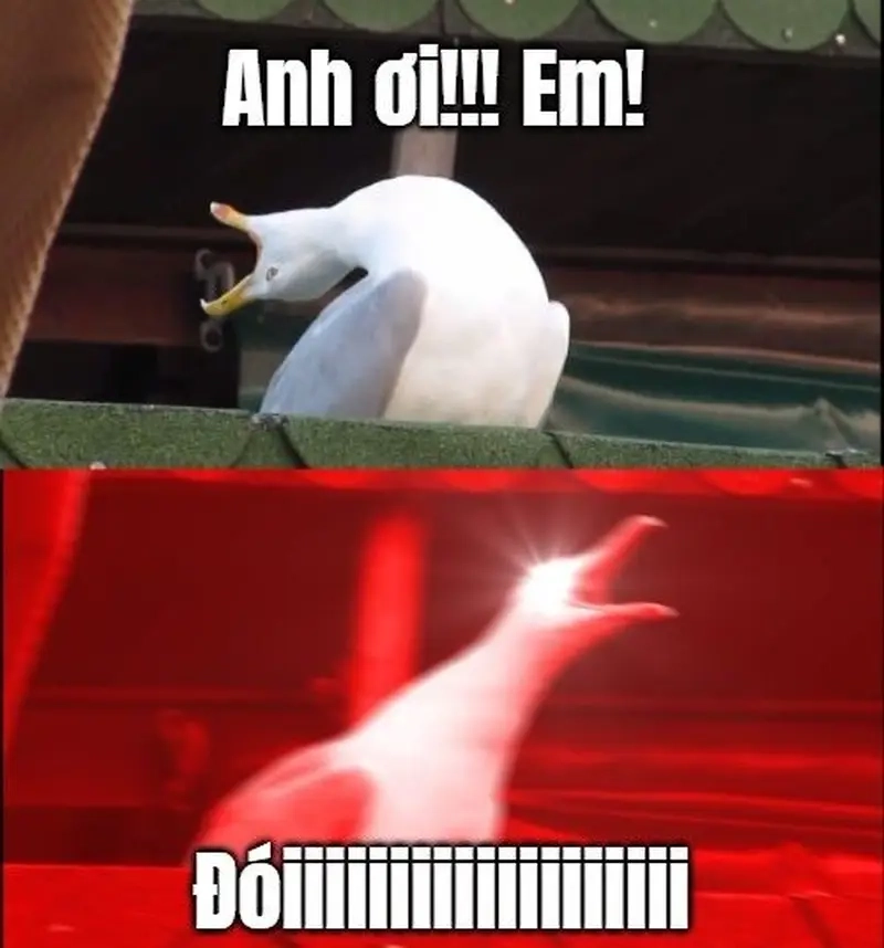 Tổng hợp meme đói bụng hot trend cho tín đồ ăn uống