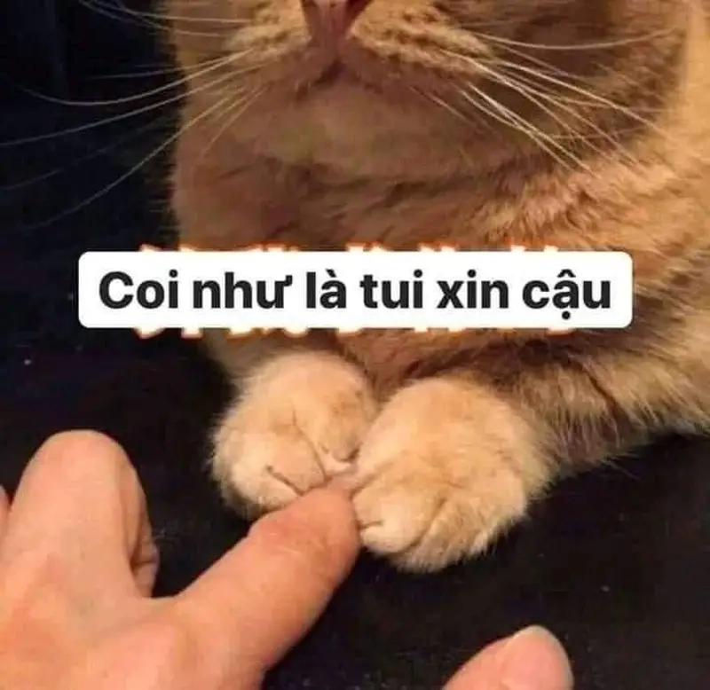 Những tình huống khó xử qua meme vay tiền bạn cực hài hước
