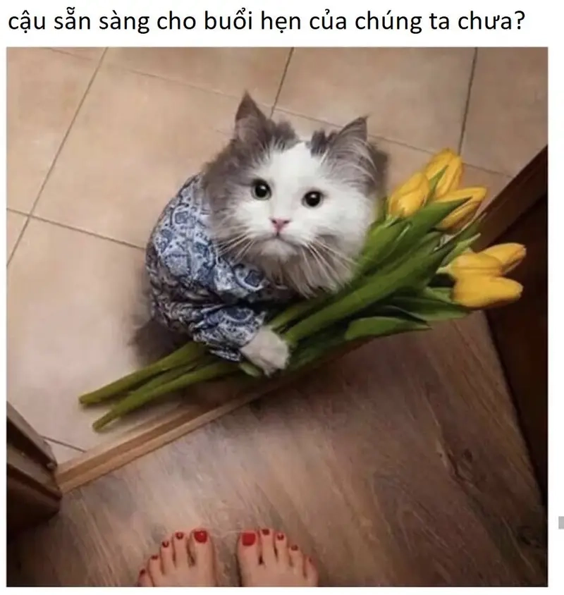 Những màn rủ rê hài hước qua meme rủ bạn đi chơi thú vị
