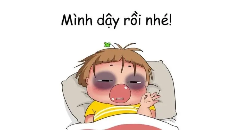 Những pha troll bá đạo trong meme troll bạn khiến ai cũng bật cười