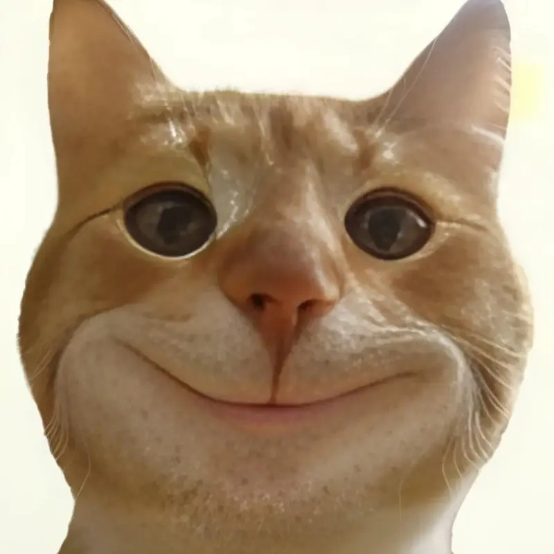 Meme về chăm sóc sắc đẹp luôn bắt đầu từ hiểu rõ da khô, da dầu