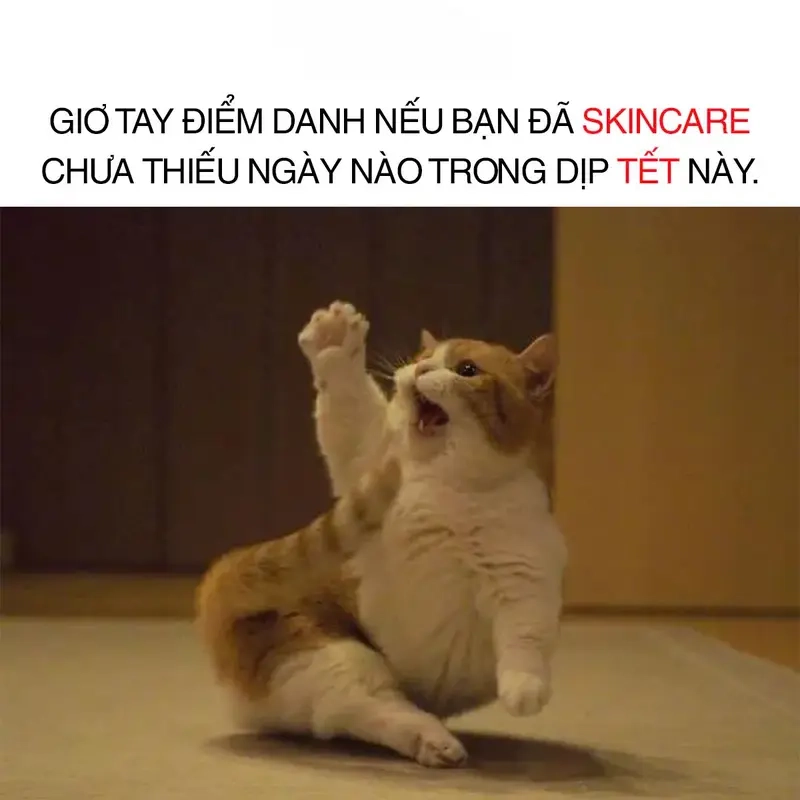 Meme về chăm sóc sắc đẹp dành cho các tín đồ skincare chân chính