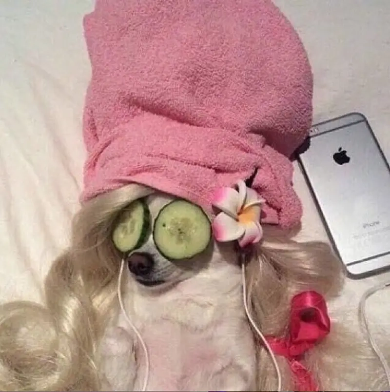 Tín đồ skincare và hành trình “biết tuốt” meme tín đồ skincare