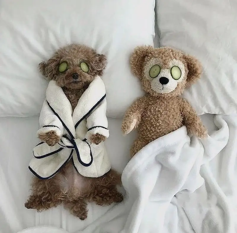 Mỗi ngày một bước skincare là thói quen của meme tín đồ skincare