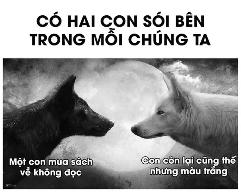Meme về Đọc sách / Mọt sách hài hước về meme mua sách không đọc