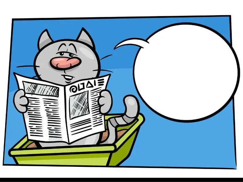 Khoảnh khắc hài hước từ meme book-hangover thu hút sự chú ý