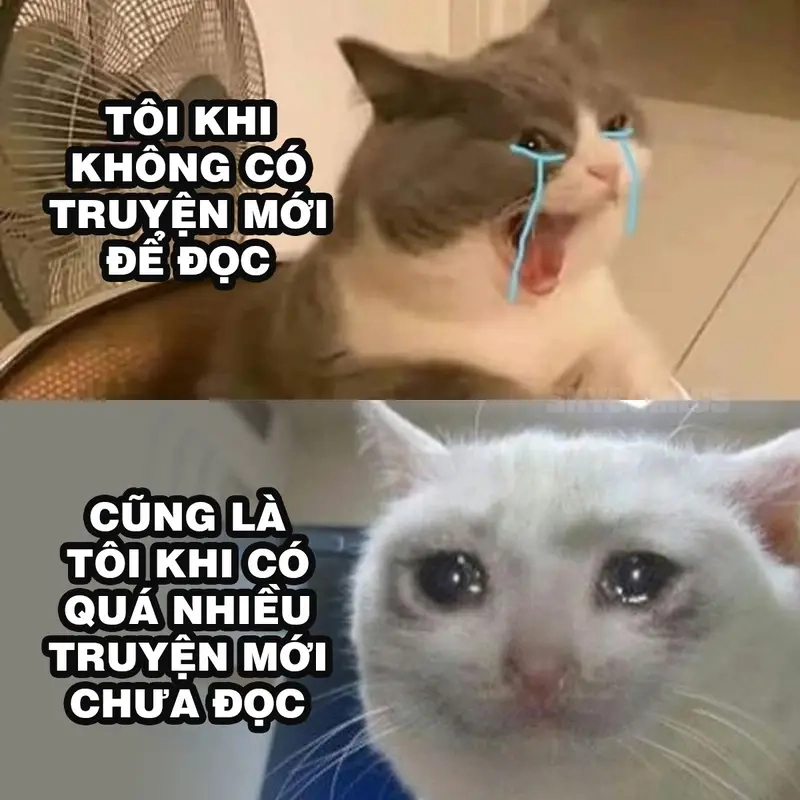 Meme về Đọc sách / Mọt sách chế vui về meme mua sách không đọc