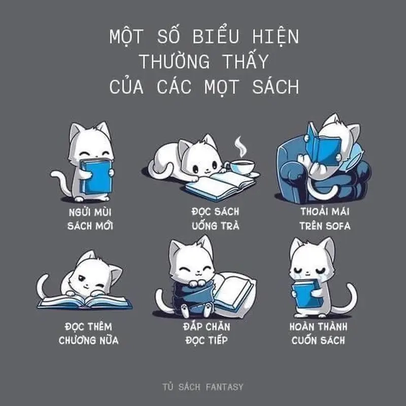 Meme về Đọc sách / Mọt sách vui nhộn xoay quanh meme hít hà mùi sách mới