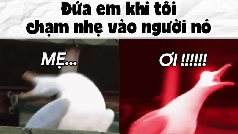 Meme anh chị em trong nhà pha chút dí dỏm, ai xem cũng thích