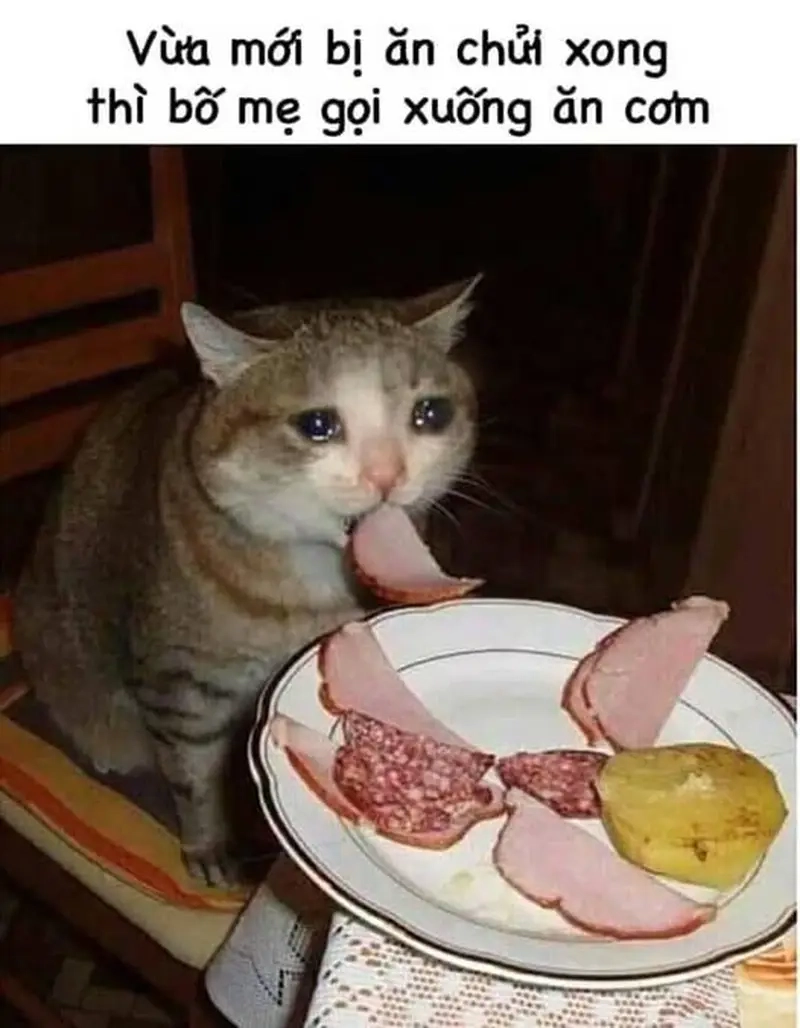 Meme về gia đình thể hiện tình cảm thân thương nhất