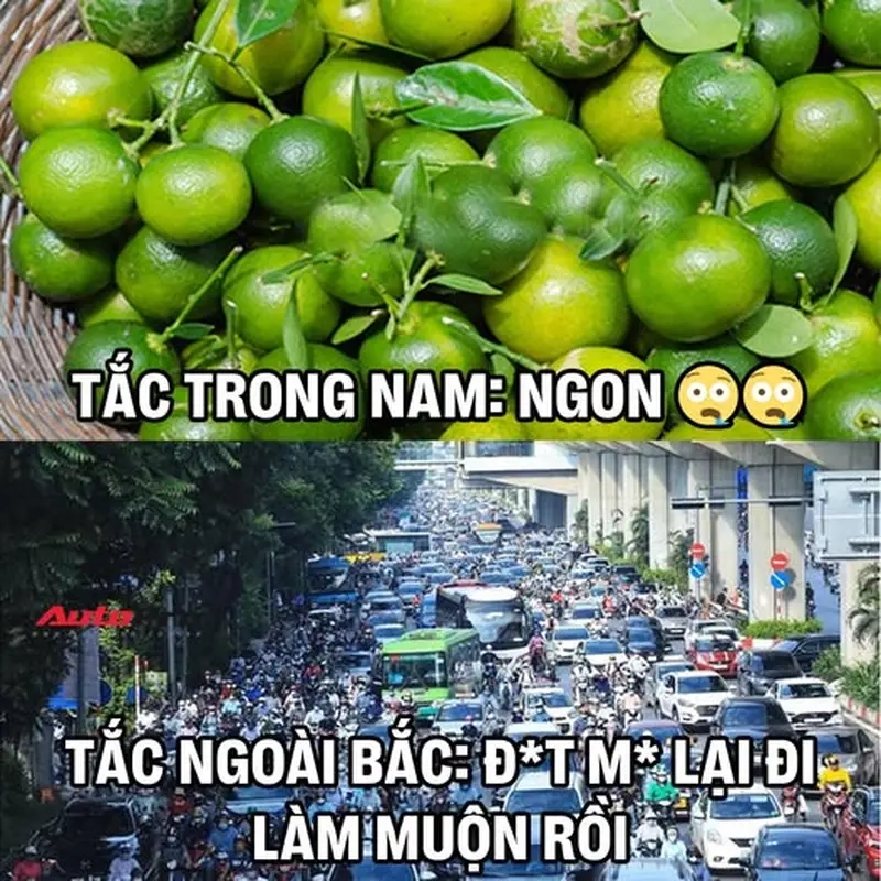 Cười xỉu với meme tắc đường Hà Nội / Sài Gòn mỗi giờ tan tầm