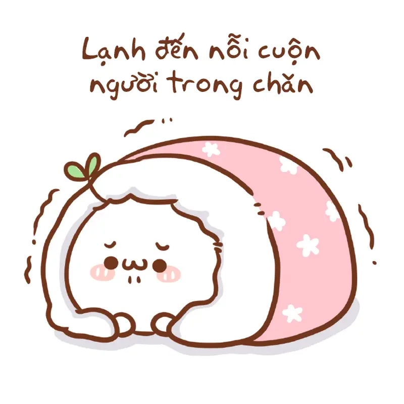 Meme trời lạnh co ro và khung cảnh đường phố phủ đầy sương mù